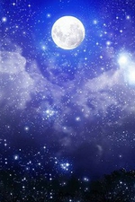 La Luna -Ei-_ӓXyTz̏ڍ׃y[W